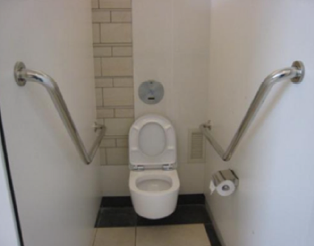 figure 3- example of grab bars in a bathroom figure 3- example of grab bars in a bathroom